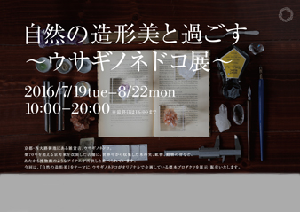 ウサギノドネコ展