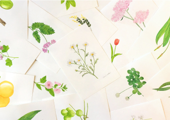 【ロルバーン ショップ＆ギャラリー】FRAGRANT FLOWER CATALOG EXHIBITION 