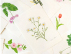 【ロルバーン ショップ＆ギャラリー】FRAGRANT FLOWER CATALOG EXHIBITION 