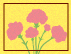 MOTHER’S DAY THANKS GIFT フェア開催のお知らせ
