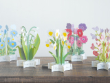 「BLOOMING CARD」フェア 開催のお知らせ